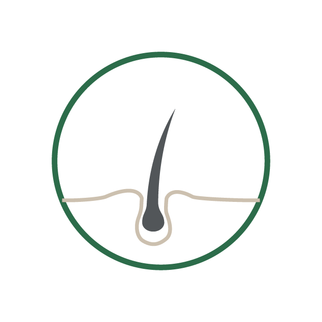 Hair Issue Icon - Bee Choo Origin Malaysia