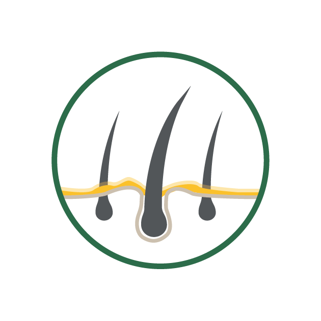 Hair Issue Icon - Bee Choo Origin Malaysia